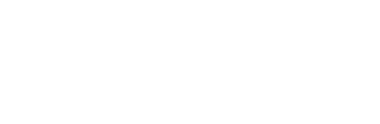 Lesol Pharmaceuticals logo – symboliserer Aedels samarbejde med farmaceutisk partner for renhed og sikkerhed.