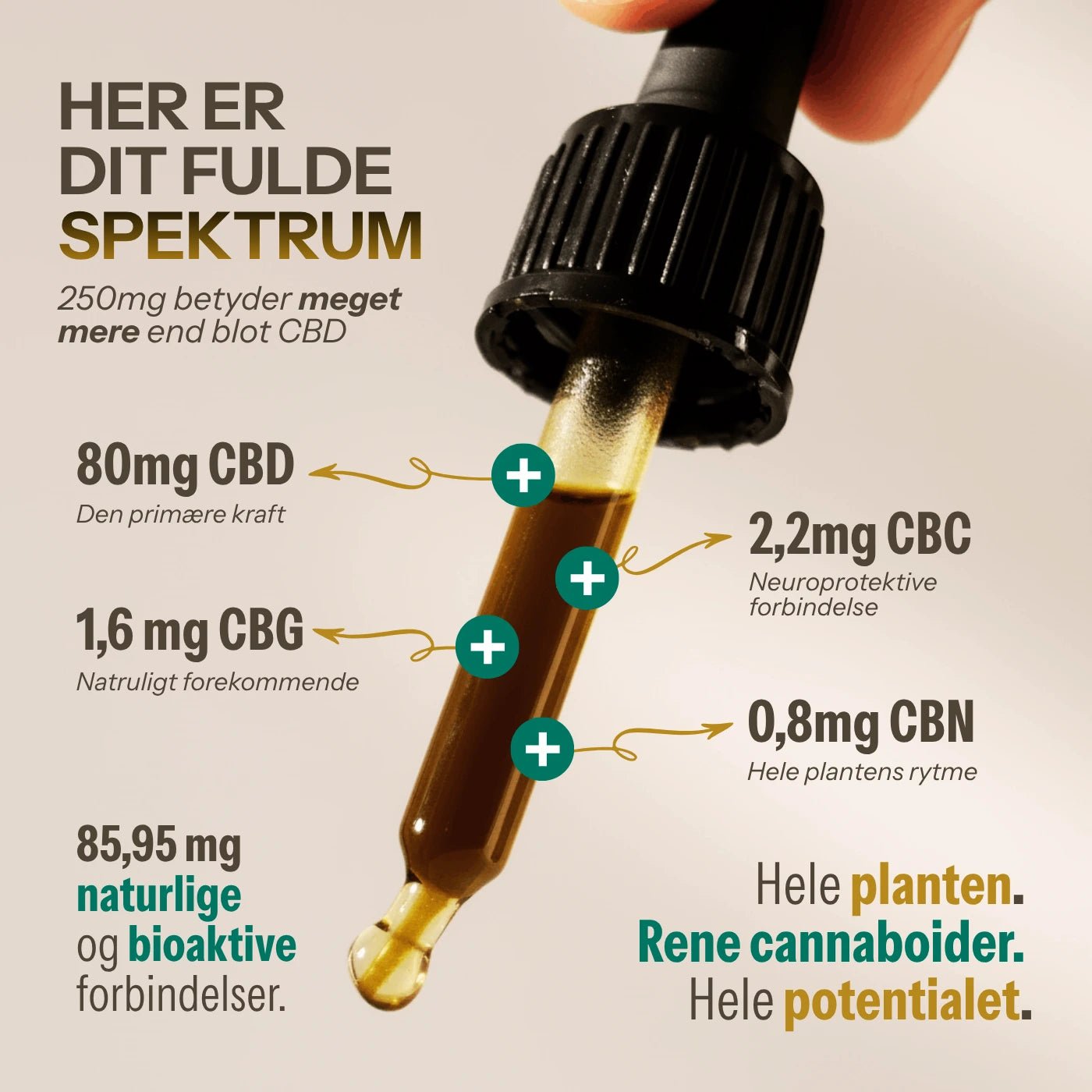 aedel Original Spektrum 500mg - aedel