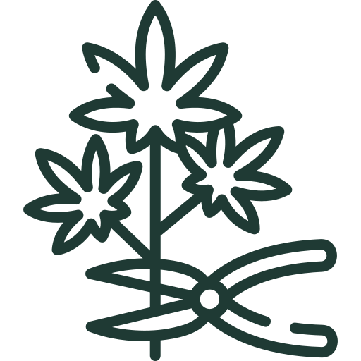 CBD Olie høst ikon – illustration af bæredygtig hampdyrkning og naturlig produktion af Aedel CBD Olie.